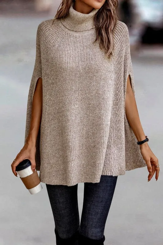 Beige Roll Neck Knit Solid Lose Fit